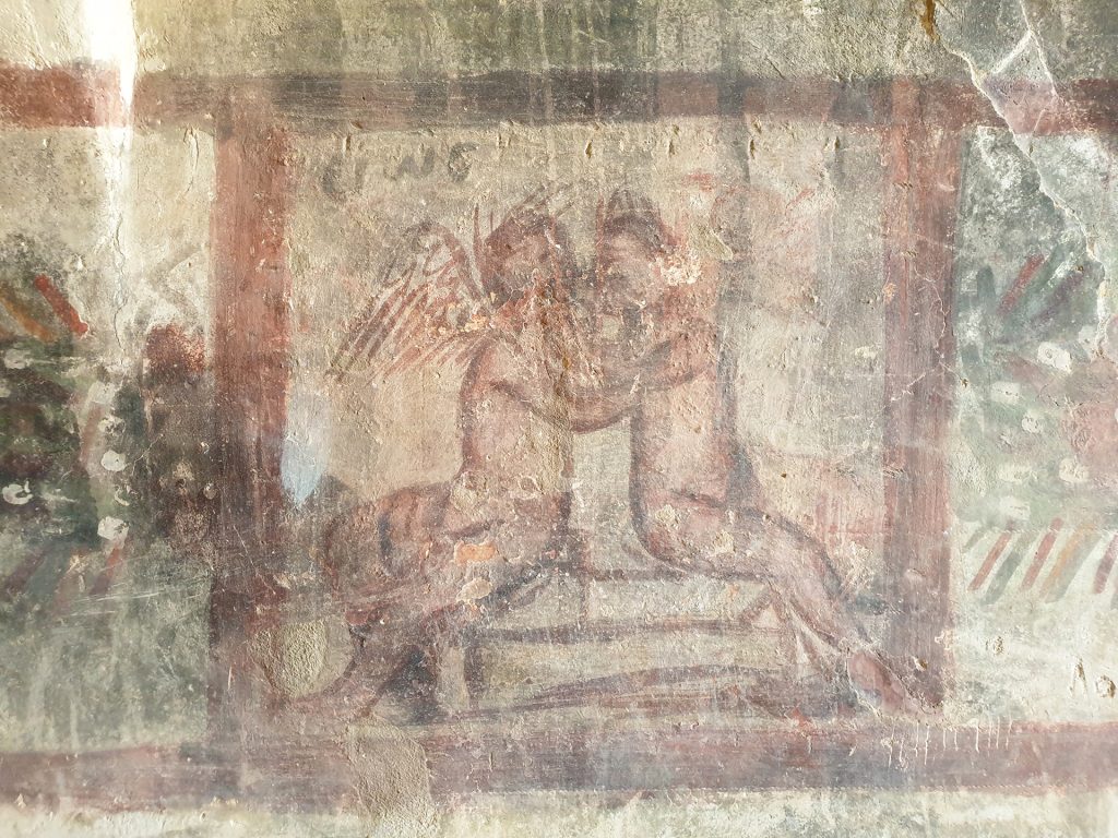 scripta-home3